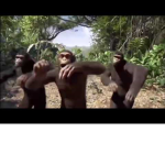 ape gang vibes