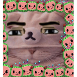 ~ᴛᴀᴘɪ's ғʀɪᴇɴᴅ ᴄʟᴜʙ~