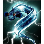 EEL Productions
