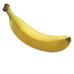 Bannannas