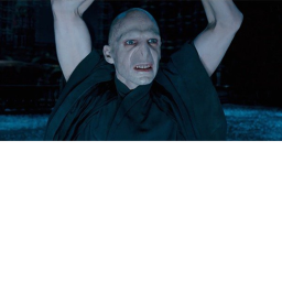 Voldemort Sanctuary