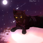 *+. Moon Panther .+*