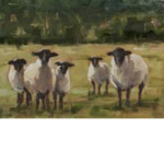 Sheep United Forever