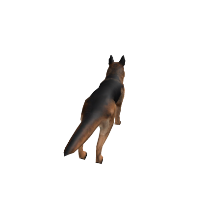 German Shepherd