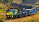 polish trains and more