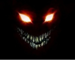 Dark Training