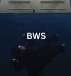 Billie’s Wildflower’s