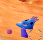 IAMSKIBIDI