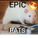EPIC RAT ARMY