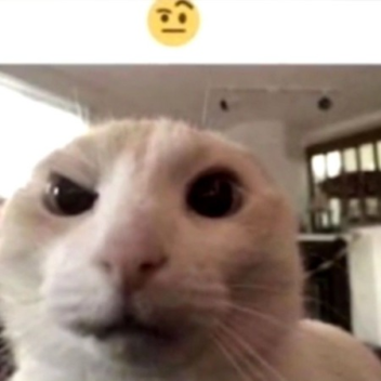 Hola_Soy-Opp-