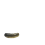 GAANGG