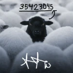 zercity Group Thumbnail