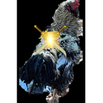 The cool chickenso