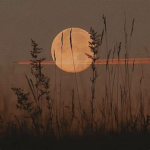 N3WMOON