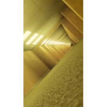 Backrooms [LEVEL I HABITABLE ZONE UPDATE!!]