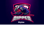 Stylze Developers Group