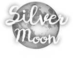 •Silver Stars and Moons•