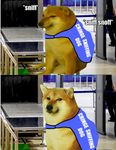 The doge friend group