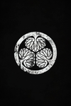 Yukimaru Shogunate 雪丸将軍政権