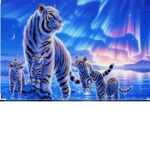 White wild nation