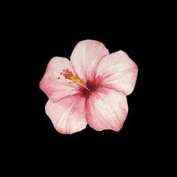 🌺 signed, sage payment hub.