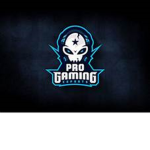 ( PRO GAMERS )