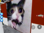 Screaming cats studio