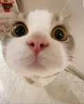 You come here