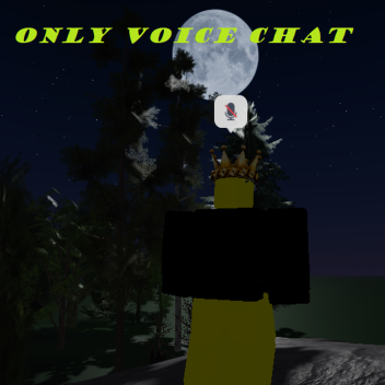 Only Voice chat