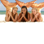 H2O just add water fans