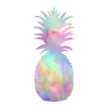 Pineapple Paradise