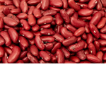 One bean