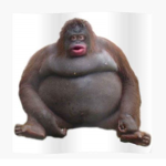 The Monke Fam