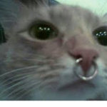 luviess;