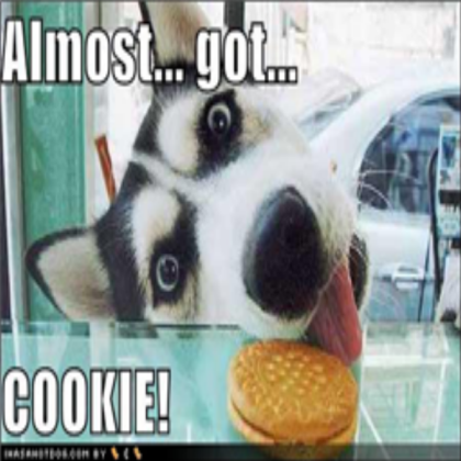 funny Pictures Roblox decal