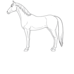 *|~ DW Riding Academy Aplication group! *|~