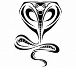 The Cobra Mafia Family