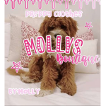 Molls boutique