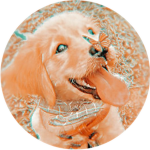 xlittlebearsx