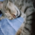 ʏᴜɴᴏɪᴀ//