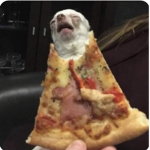 ᴀᴇsᴛʜᴇᴛɪᴄ ʙɪsᴄᴜɪᴛs