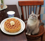 Firefox’s Waffle House