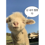 어서와용