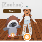 Kookoo Koalas