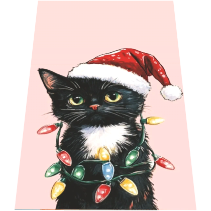 Christmas Cat Kitten Cape