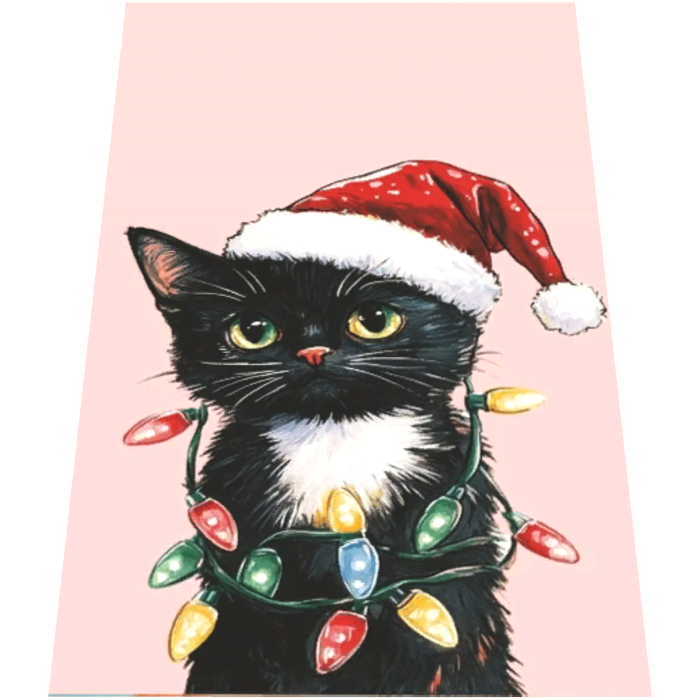 Christmas Cat Kitten Cape