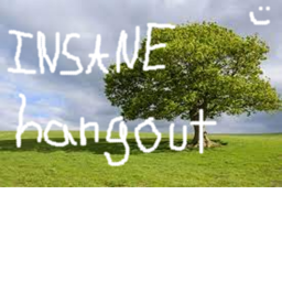 insane hangout