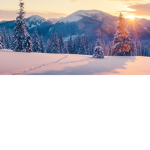 Cristmas hangout