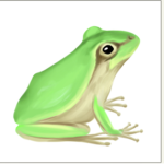 cool frog fan group