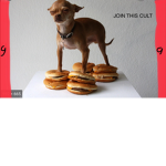 Googie cult